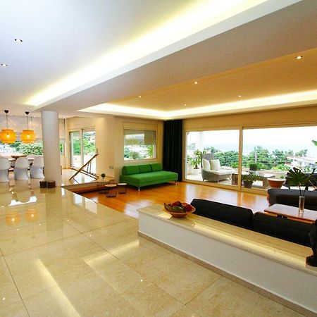 Aerides Luxury Villa PalaiónTsiflíkion Εξωτερικό φωτογραφία