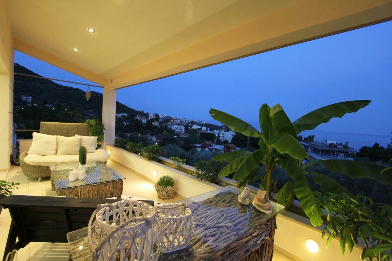 Aerides Luxury Villa PalaiónTsiflíkion Εξωτερικό φωτογραφία