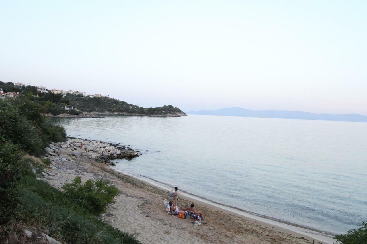 Aerides Luxury Villa PalaiónTsiflíkion Εξωτερικό φωτογραφία